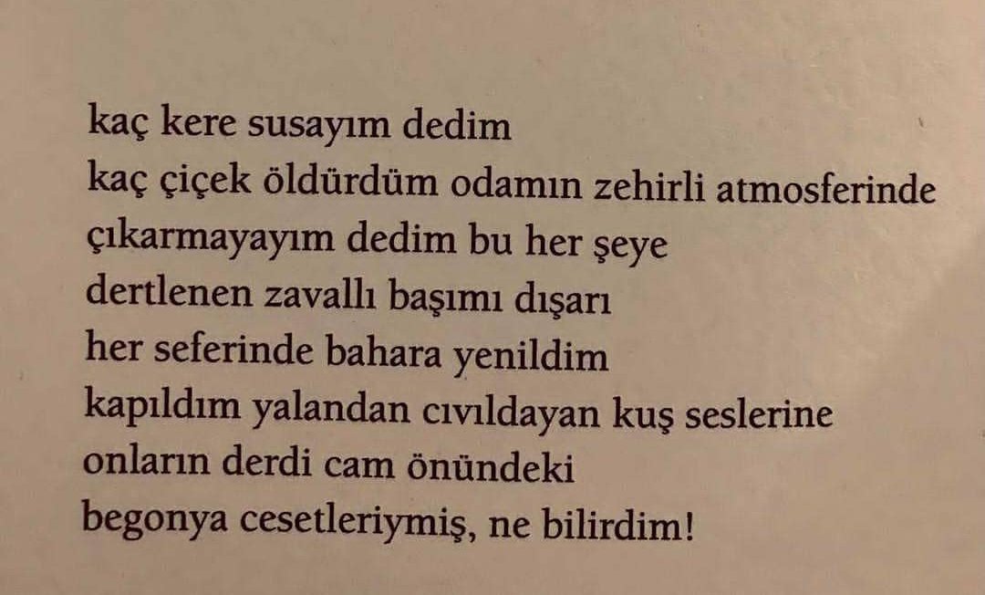 Kapıldım yalandan cıvıldayan kuş seslerine...