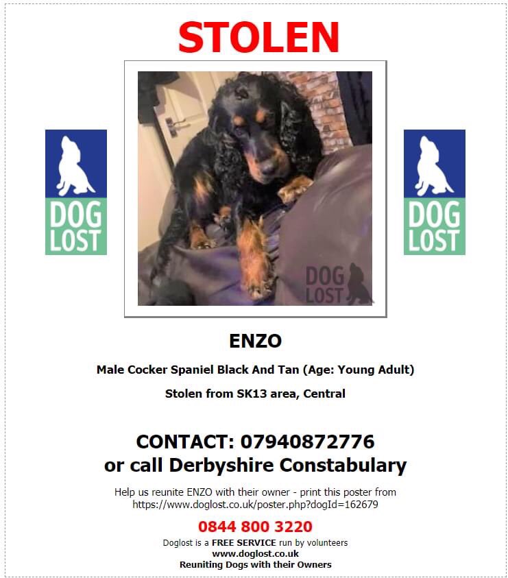 molliepug2's tweet image. 🆘🆘❤️🆘🆘 Fb Missing Enzo ❤️

ENZO HAS BEEN MISSING 2 WEEKS
He could be anywhere now
Have you seen ENZO, would you recognise ENZO
Do you know anyone with a new dog looking like ENZO