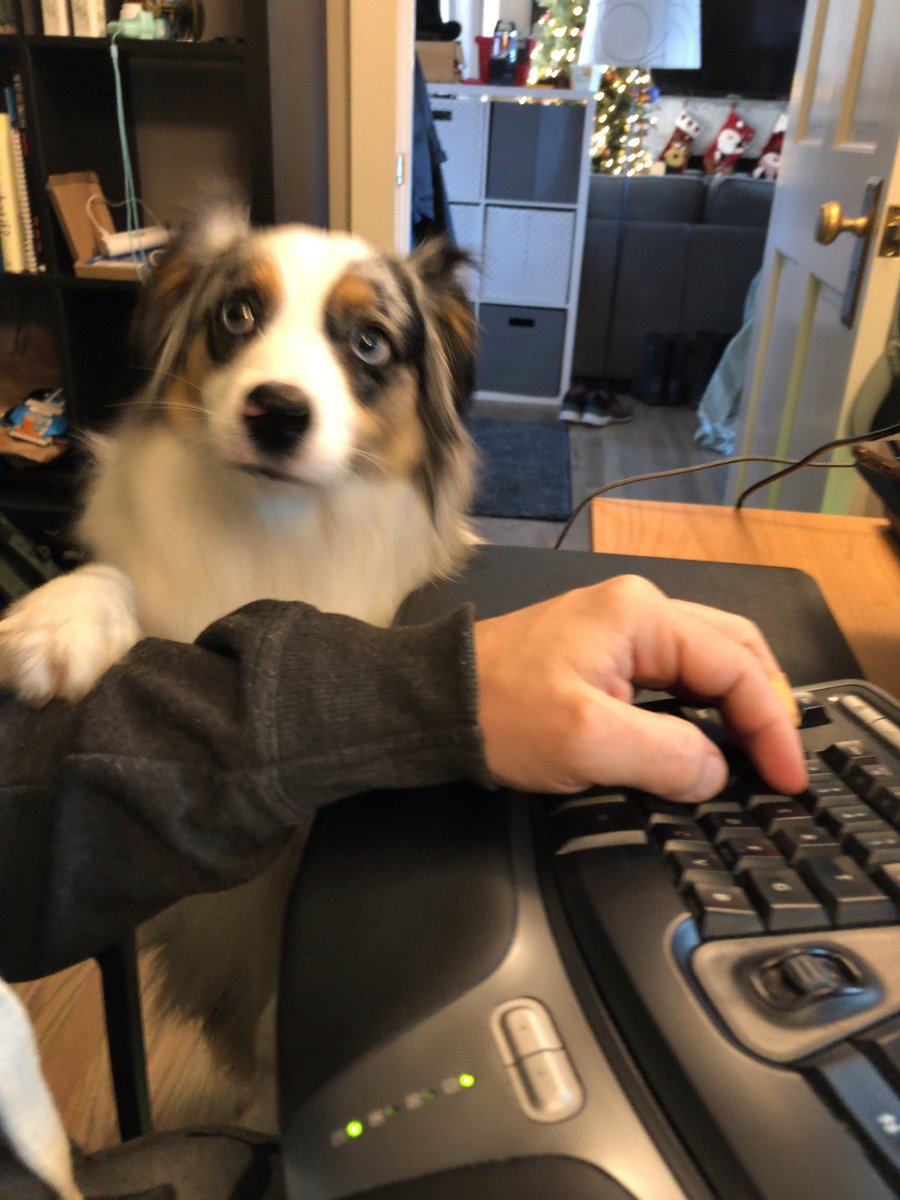 Joris de Gruyter tweet media