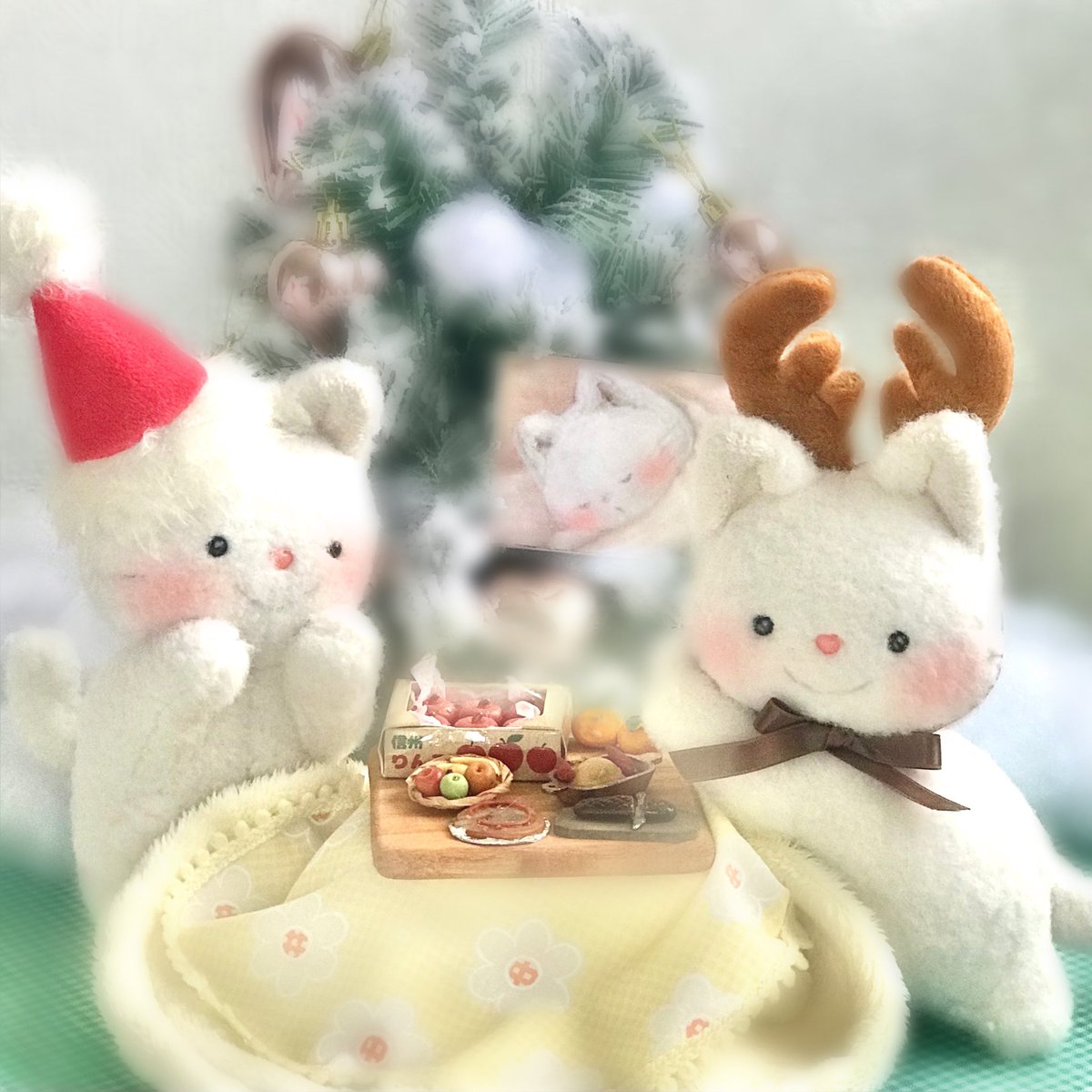 クリスマスパーティーにゃん🎉🎄

😽おもちゃんへは、絵をプレゼント🎁
おもちゃんがスヤスヤ眠っているところにゃん💤💕

😽しらたまちゃんにはりんごにゃん🍎

😽😽一緒に食べるにゃん❤️🍎
✨メリークリスマスにゃん🎄🎅🎁✨🍾🍗