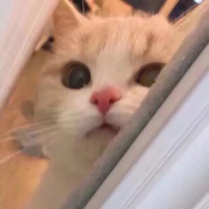 ᅠ
𝐇𝐨 𝐇𝐨 𝐇𝐨 !
     𝐌𝐄𝐑𝐑𝐘 𝐂𝐇𝐑𝐈𝐒𝐓𝐌𝐀𝐒 🎄

🧣 —  𝖧𝖺𝗉𝗉𝗒 𝖧𝗈𝗅𝗂𝖽𝖺𝗒𝗌.