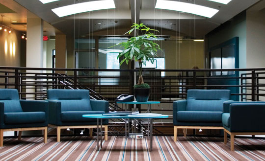 Chem-Dry uses a specially designed, green-certified cleaning solution that is safe and non-toxic for your employees and customers.