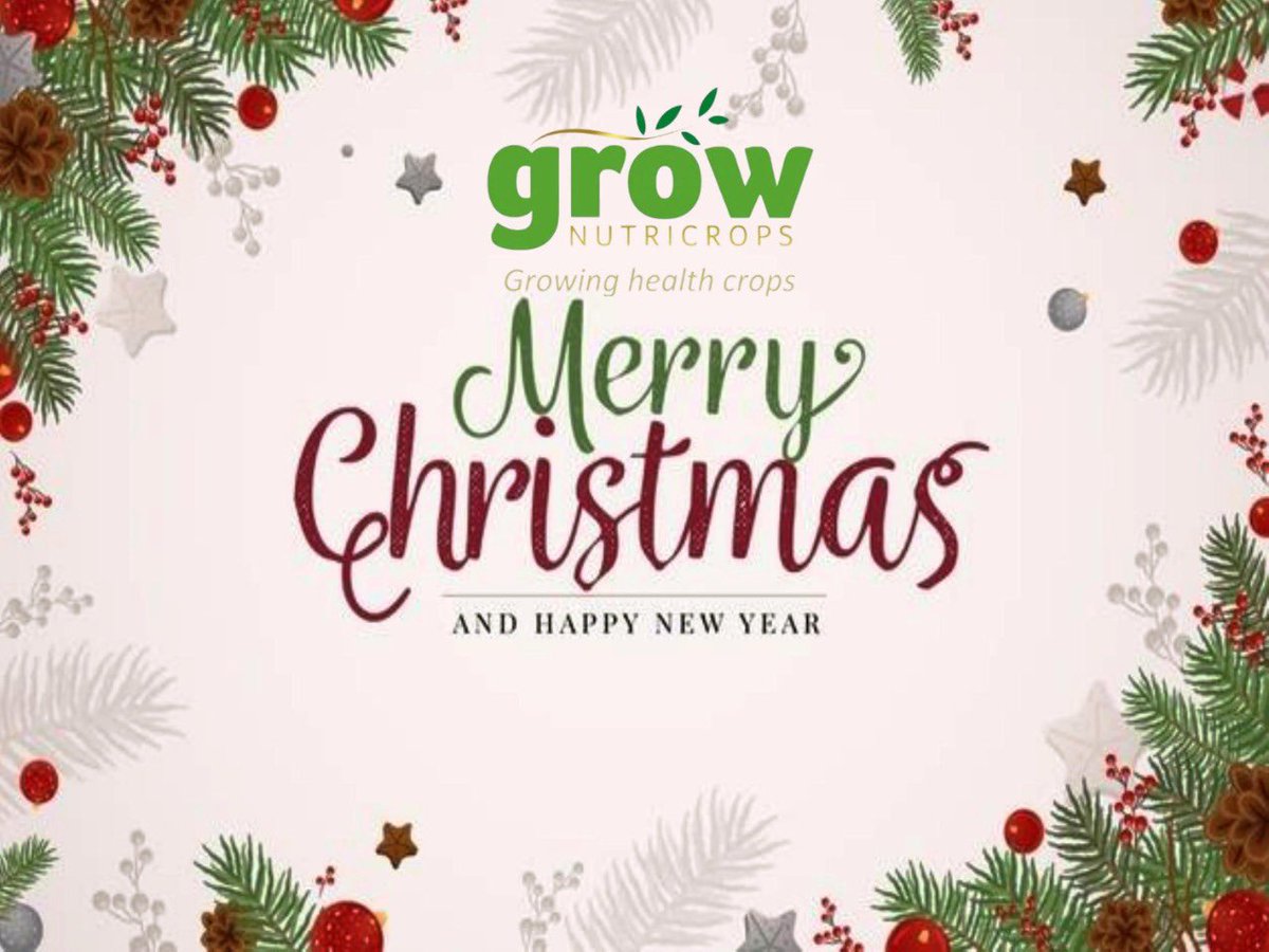 “vrolijk kerstfeest” from The Netherland.