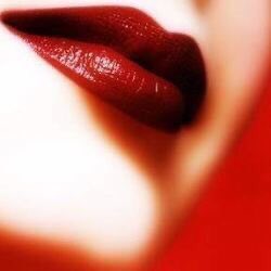 αиgєℓ 💕#тєαммzвиιккι tweet media