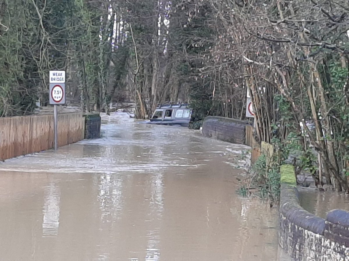 Charlotte Steggz 🦖👩🏼🏫 tweet media