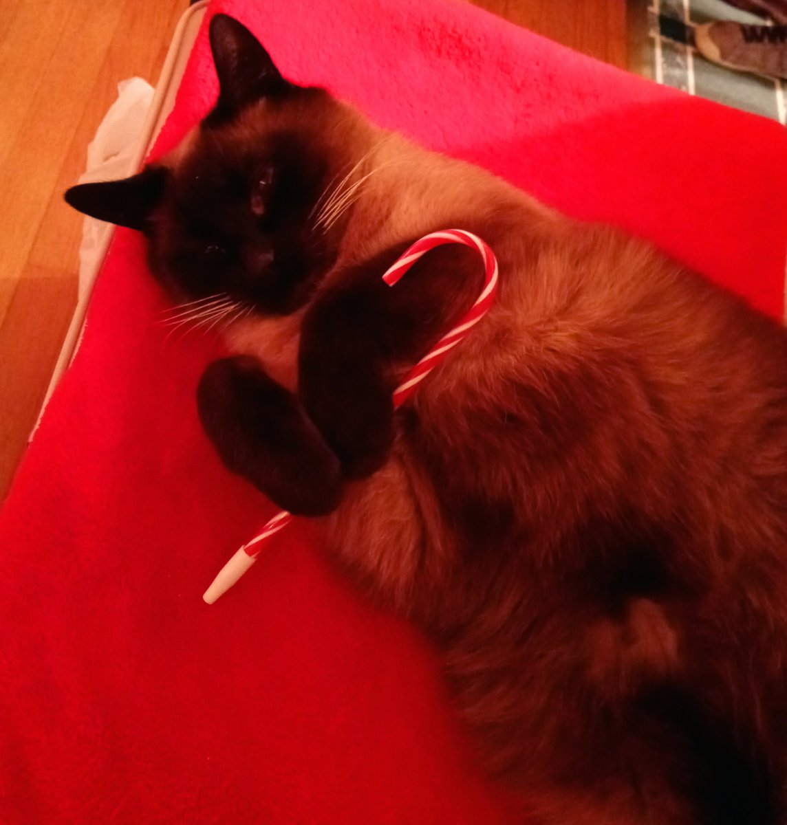 Michael Beckham tweet media