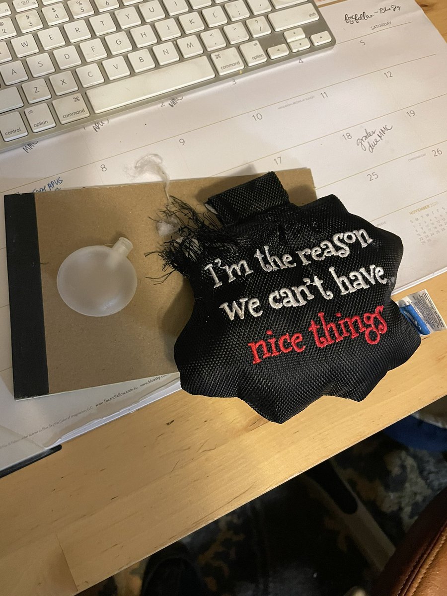 missoularedhead's tweet image. Fluffy proved his present true in less than 10 minutes. Sigh. #mastiffproblems