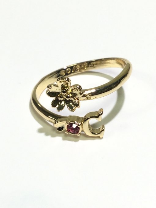 チョッパーのtwitterイラスト検索結果