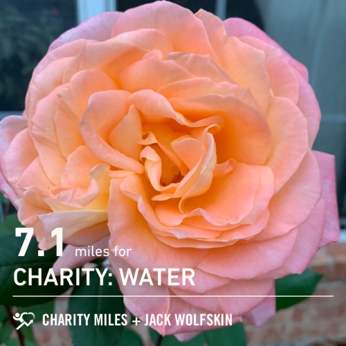 7.1 <a href="/CharityMiles/">Charity Miles</a> for <a href="/charitywater/">charity: water</a>. Merry Christmas Eve and to all a good night 🎅🏻🎄♥️