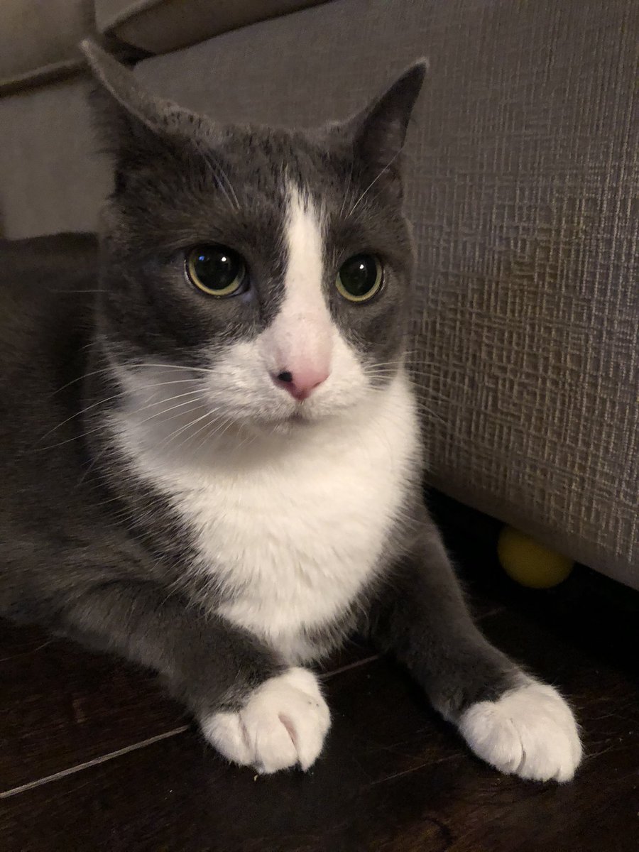 willowkimtin's tweet photo. möme??? steel mine foot? 🤬🤬 https://t.co/aqULDsyziL