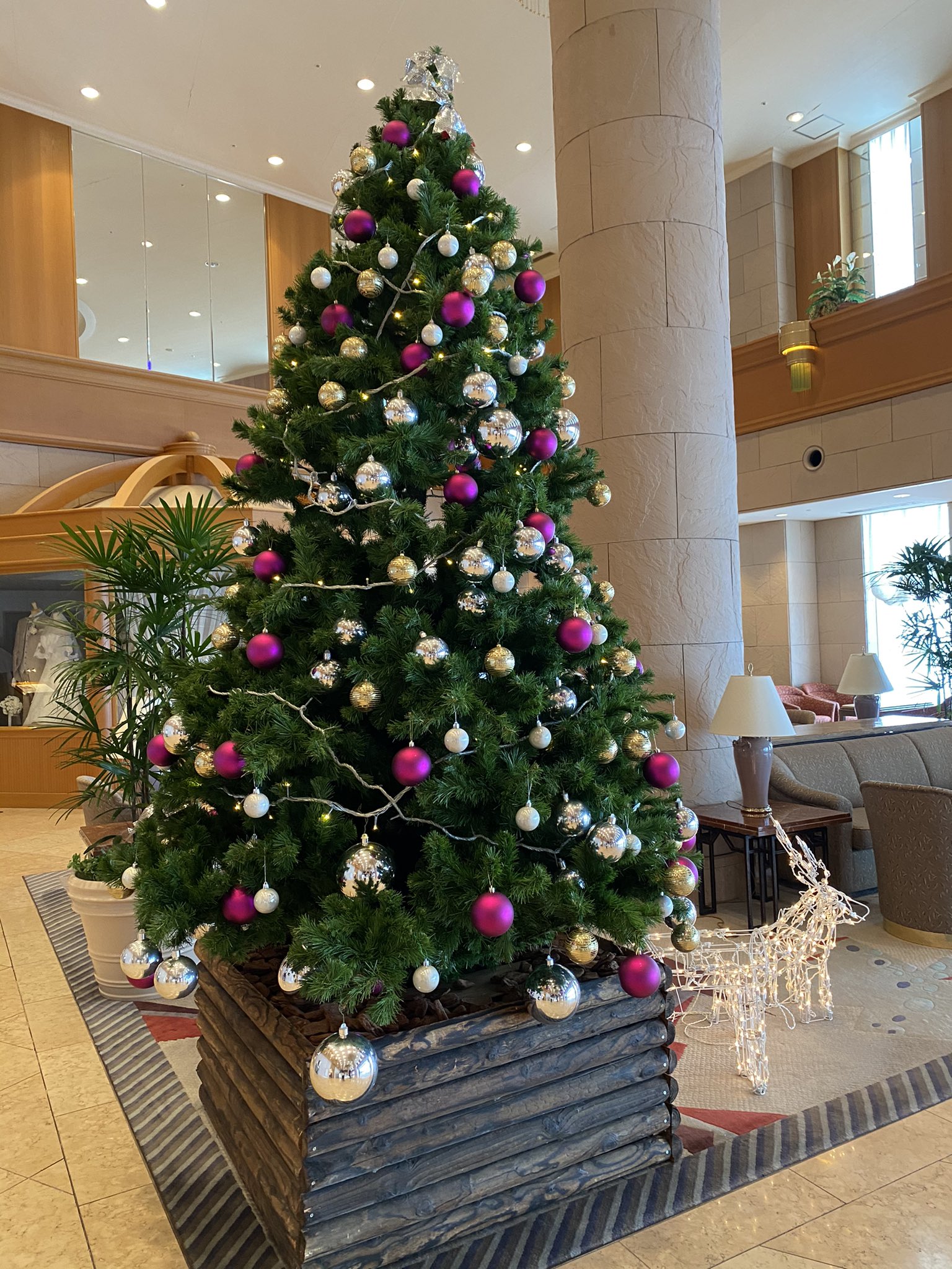 宗谷総合振興局 てっぺん宗谷 メリークリスマス Merry Christmas S Rozhdestvom ス ラジジェストボム ロシア語でメリークリスマス ロシアのクリスマスは1月7日 サフィールホテル稚内 T Co Kc0etwu8iu さんに素敵な 宗谷総合振興局 てっぺん宗谷 メリークリスマス Merry Christmas S Rozhdestvom ス ラジジェストボム ロシア語でメリークリスマス ロシアのクリスマスは1月7日 サフィールホテル稚内 T Co Kc0etwu8iu さんに素敵な