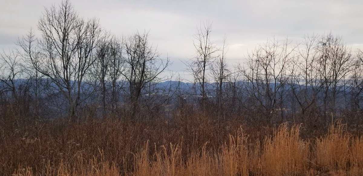 N1RBD_Radio's tweet photo. Great weather Tuesday and Wednesday before the frigid cold arrives tonight. 2 #POTA parks and 3 #SOTA summits activated, along with some P2P and 6 S2S Qs. Love my Shack-In-A-Bag. :) #qrp #qrpradio #hamradio #fieldradio #efhw #lnrprecision #qrpguys #morsecode https://t.co/AUOXOt7yvX