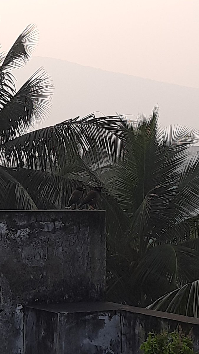 pvbabji's tweet image. #VaikuntaEkadashi 
#GeethaJayanthi  wishes to everyone