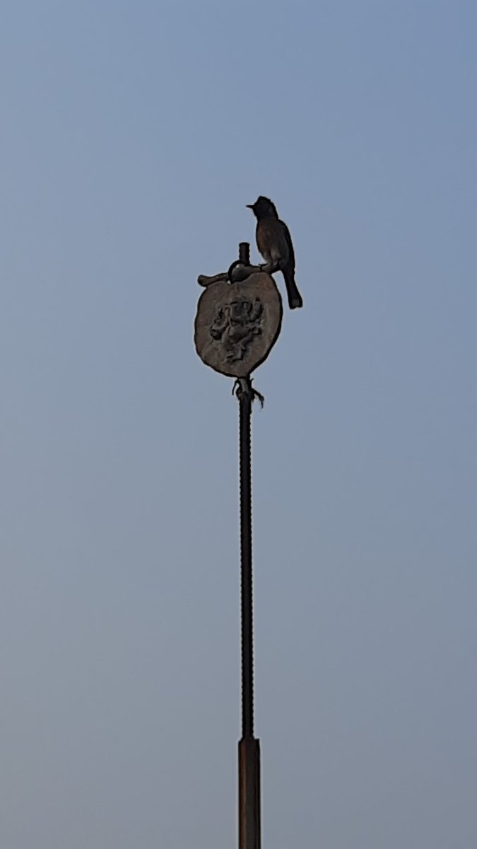 pvbabji's tweet image. #VaikuntaEkadashi 
#GeethaJayanthi  wishes to everyone