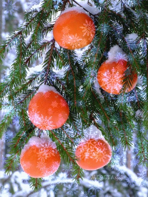CieGosia1's tweet photo. 🌲🍊🌲❄️❄️❄️❄️ https://t.co/983hWYHsPx