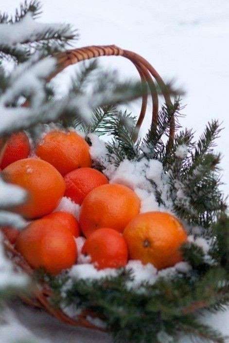 CieGosia1's tweet photo. 🌲🍊🌲❄️❄️❄️❄️ https://t.co/983hWYHsPx