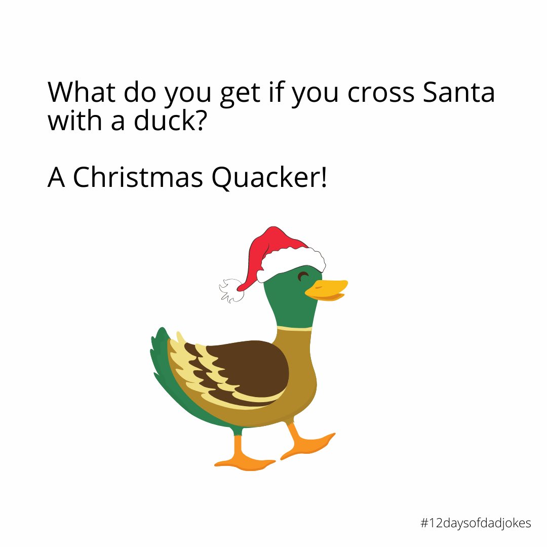 grave_xxxxxxxx's tweet photo. Happy Holidays! #12daysofdadjokes https://t.co/v0GTrKW2Y9