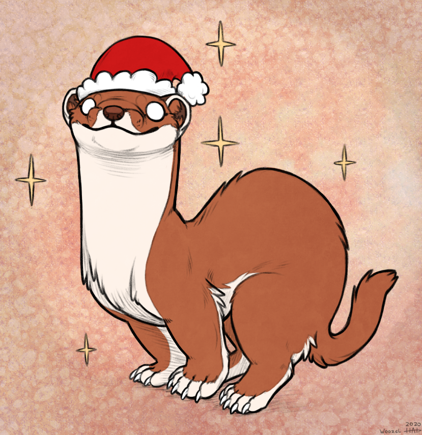 WoozyMutt's tweet photo. A small weasel has appeared to wish you a merry Christmas! <3 https://t.co/coX0q6sYtX