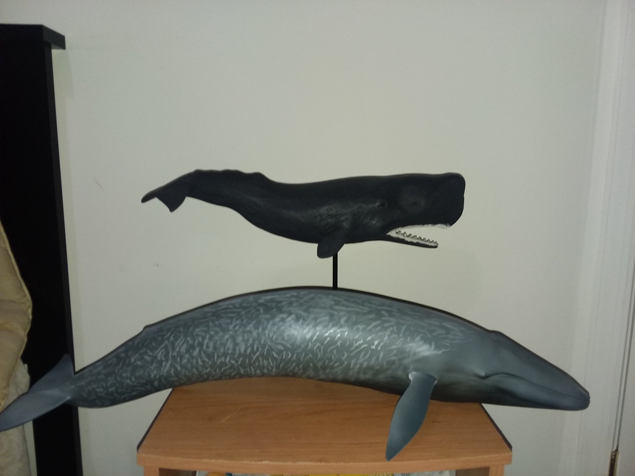 海洋堂 巨大フィギュア 全長70cm以上! シロナガスクジラ 浮き輪 70cm