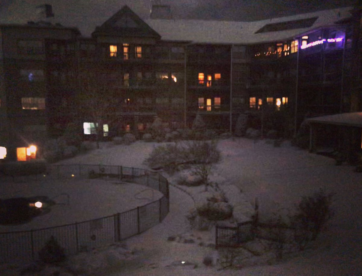 pollymcdaniel's tweet photo. If you didnโt have a reason to stay home before, you do now. Merry Christmas Eve! #WhiteChristmas #SnowMuch? #snow #AVLsnOMG #Asheville #LetItSnow https://t.co/9cYlvSCH5B