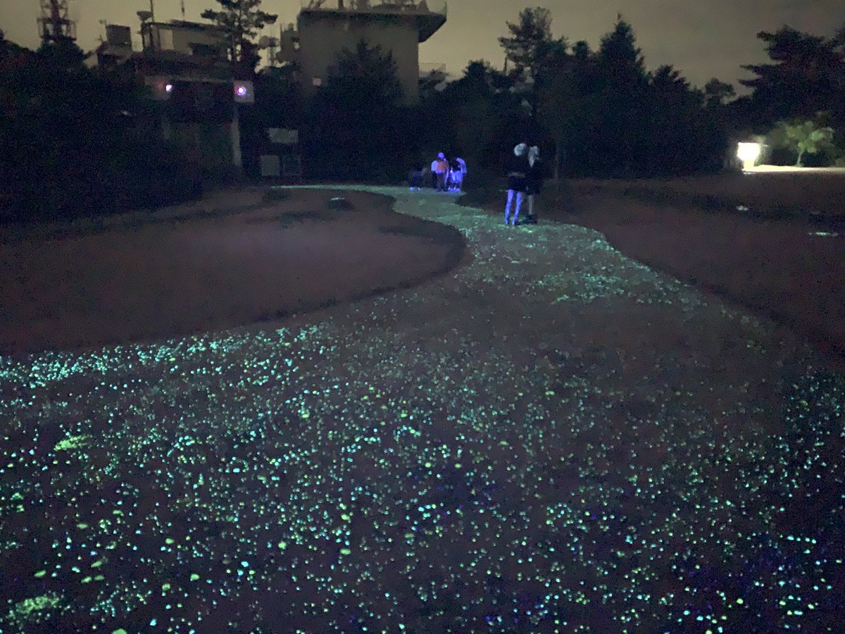 yuri05352823's tweet photo. At the top of Maya mountain at night. You can see the beautiful luminous river. #luminous #nightview #mayamountain #hyogo #japan #misstrip https://t.co/xOHefHyUyQ