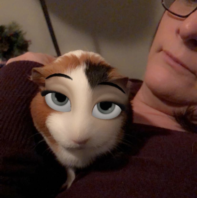 My sister found that the snapchat filters work on guineapigs