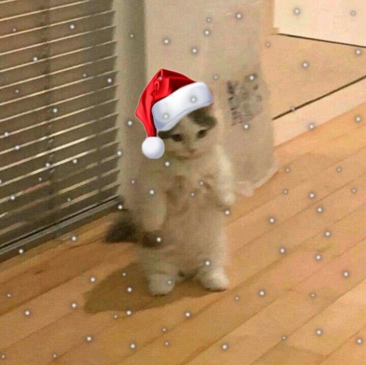 ᵐᵉʳʳʸ ᶜʰʳⁱˢᵗᵐᵃˢ <³