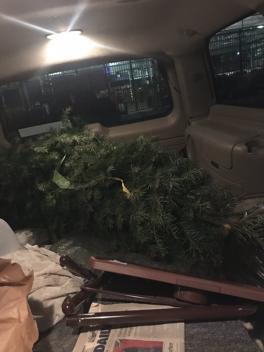 Sean Lamothe tweet media