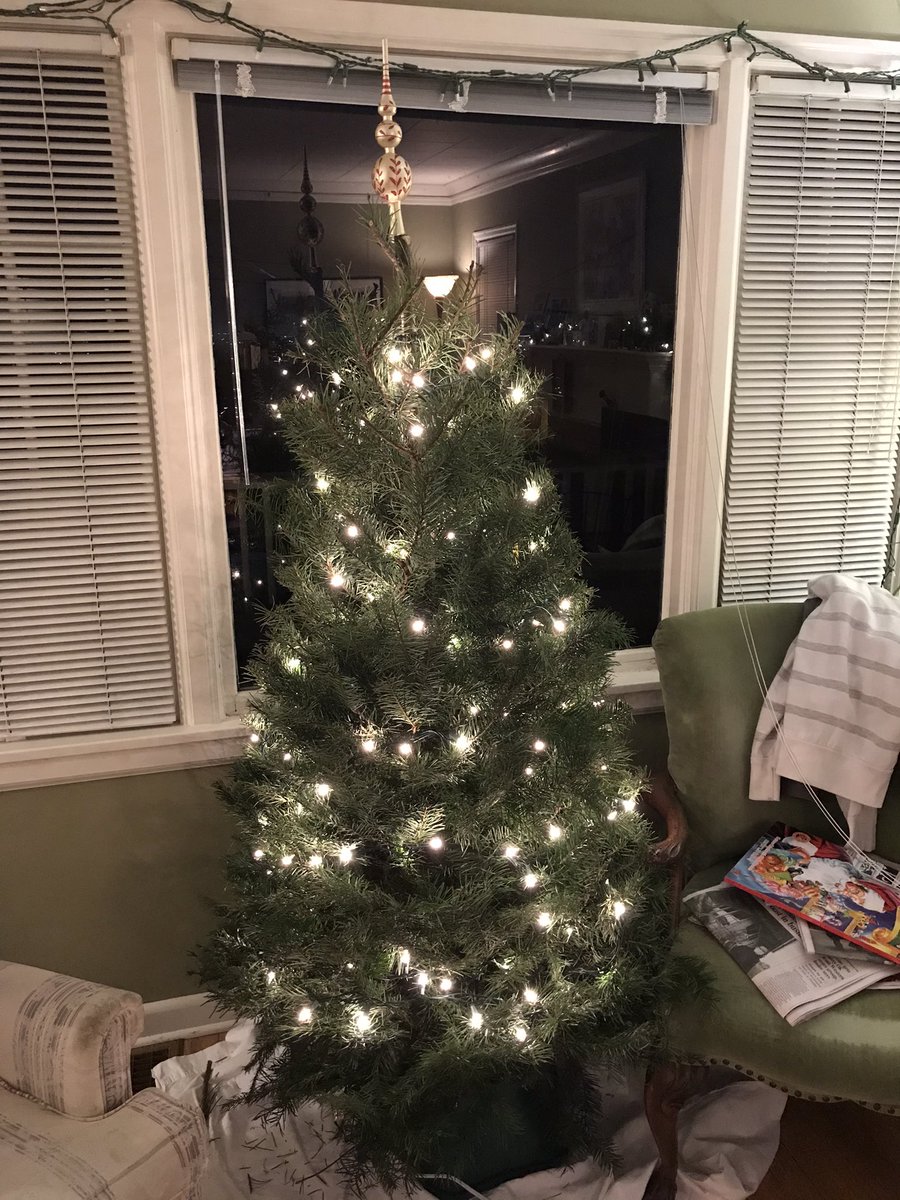 Sean Lamothe tweet media