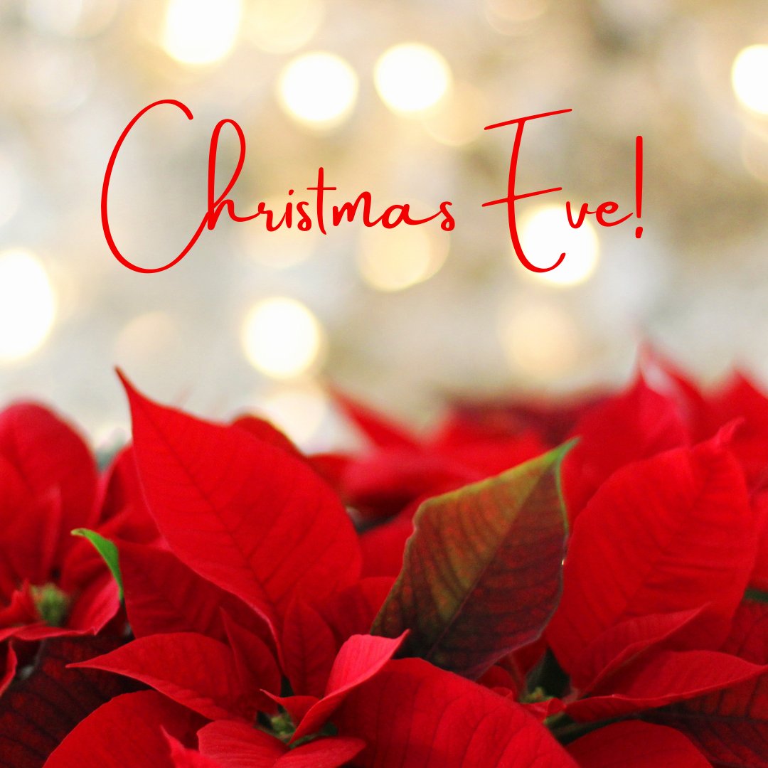 Cozi_vr's tweet photo. May this Christmas infuse your life with new hope, positivity, joy and bliss.
.
.
.
#cozichristmas #fredericksburgtx #newbraunfels #corpuschristi #livetexas #experiencetexas https://t.co/Fm26yyfTLS