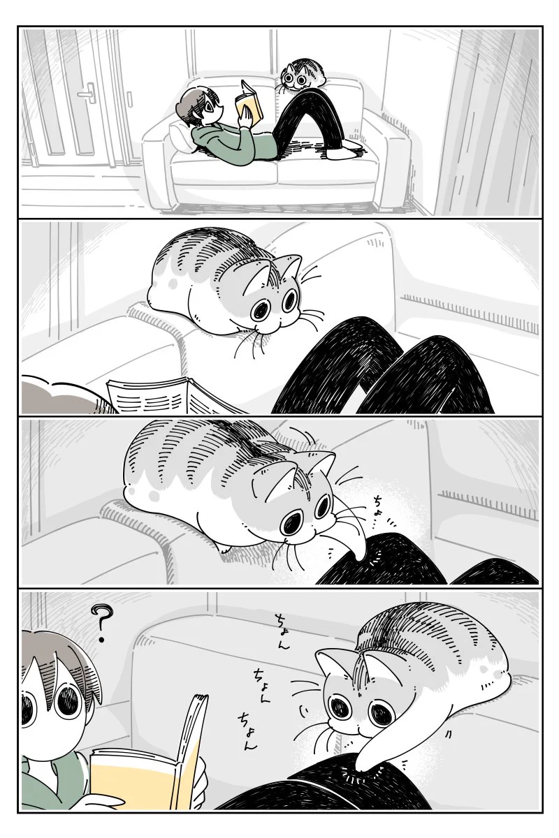寛ぎやすそうな場所は他にもたくさんありそうなのに･･･www飼い主の膝の上で寛いじゃう猫の漫画！