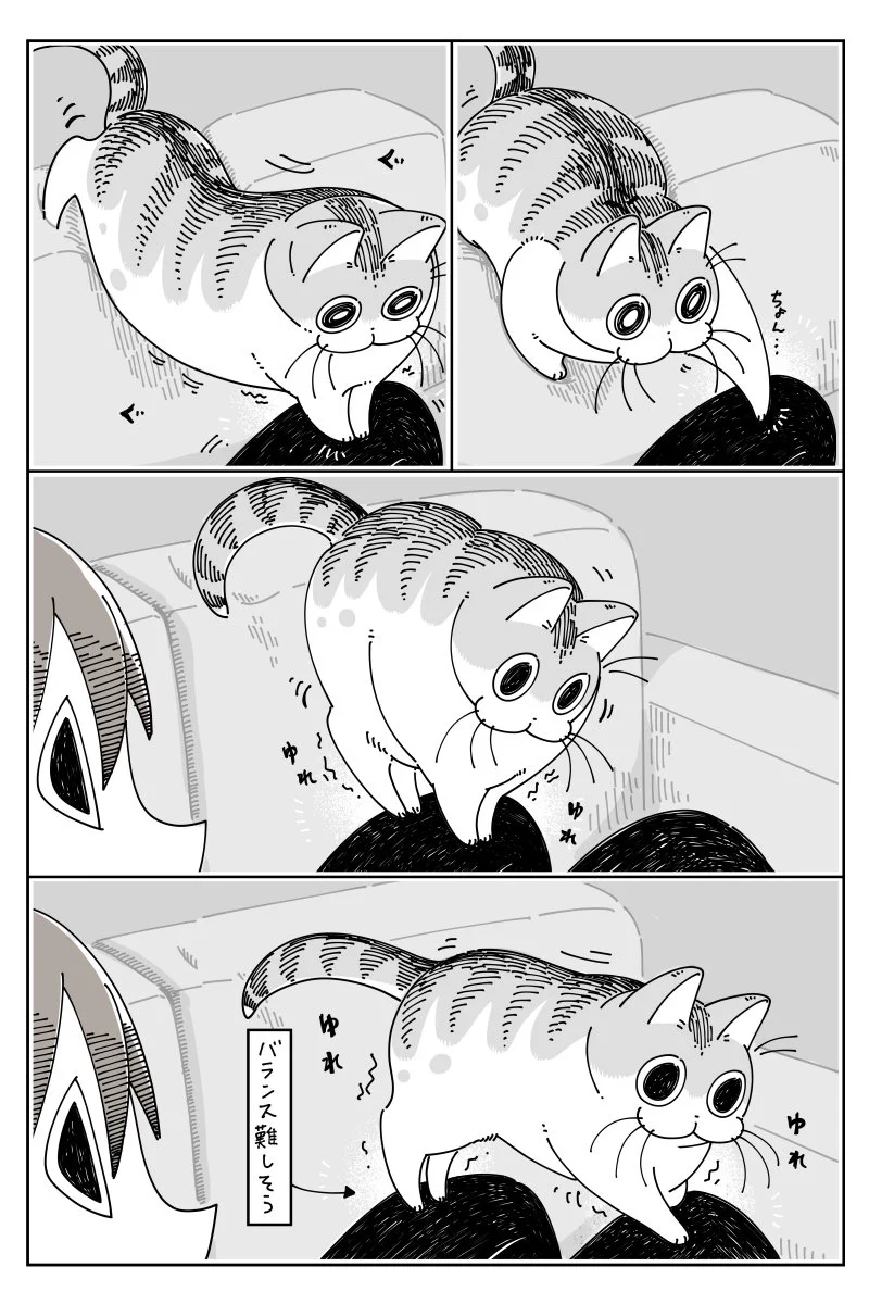 寛ぎやすそうな場所は他にもたくさんありそうなのに･･･www飼い主の膝の上で寛いじゃう猫の漫画！