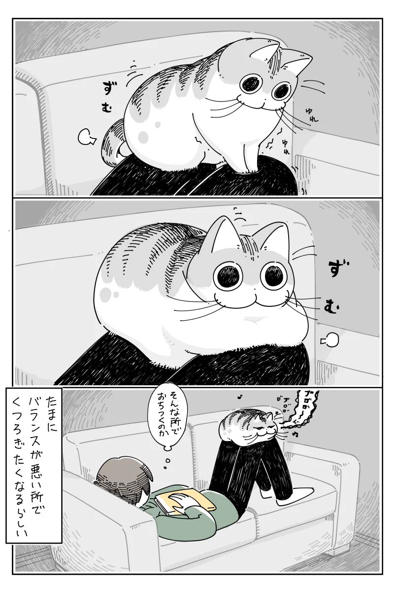 寛ぎやすそうな場所は他にもたくさんありそうなのに･･･www飼い主の膝の上で寛いじゃう猫の漫画！
