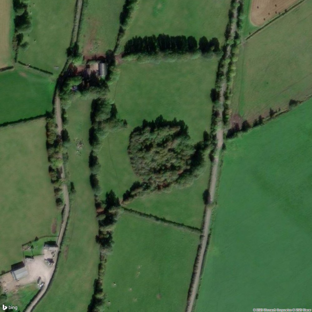 Ringfort - rath

BALLINTOGHER (Graystown Par.), 
County Tipperary
Ireland 

TS00584

TS054-008----

webgis.archaeology.ie/HistoricEnviro…

#everyringfort