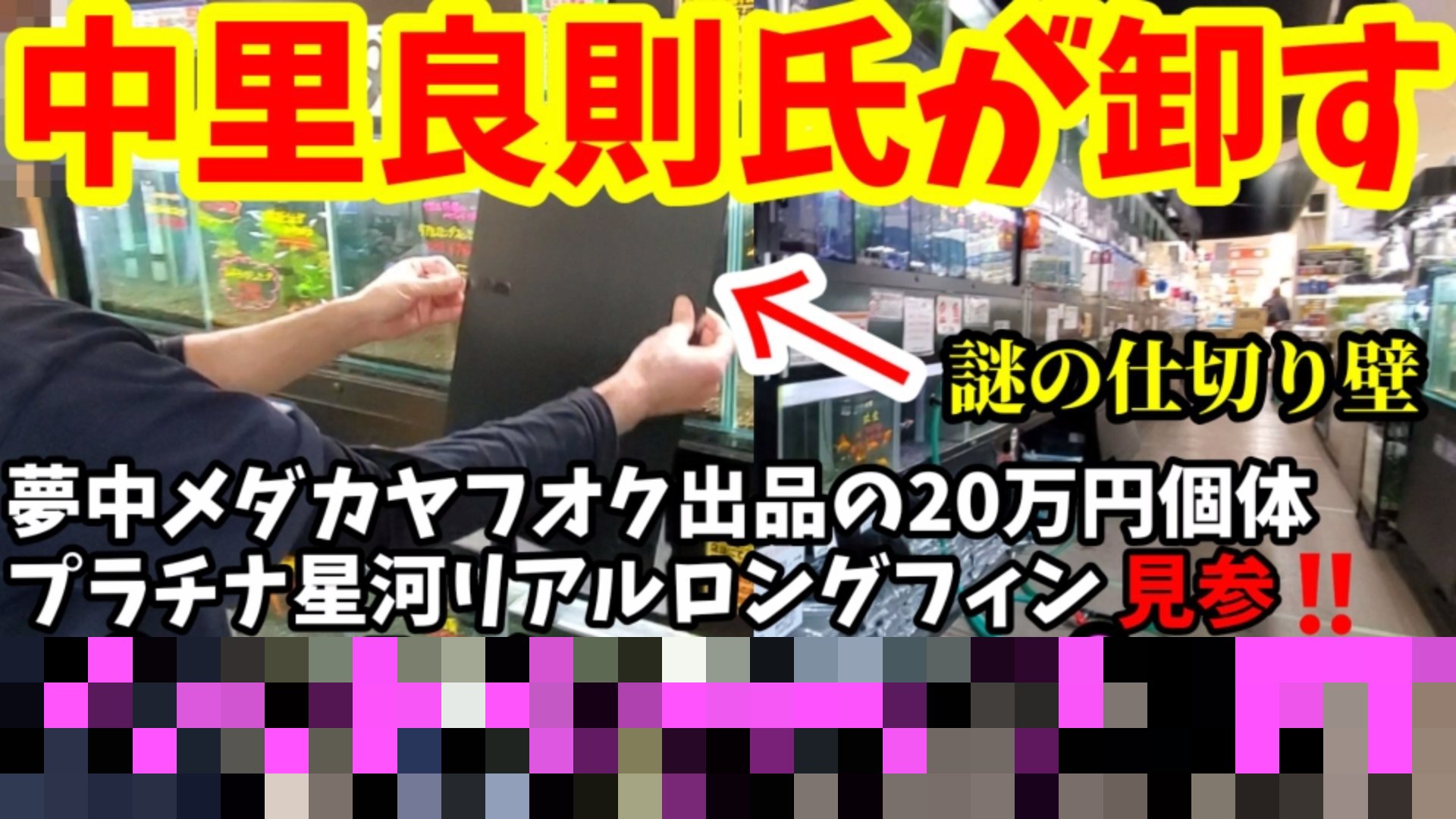 安らぎaquaちゃんねる Youtube 東日本地域にお住まいの皆さんへ メダカを横見で楽しむ時代到来 ブリーダー 夢中メダカ 中里良則 T Co Odq3vasukt T Co Gruovufl0p Twitter