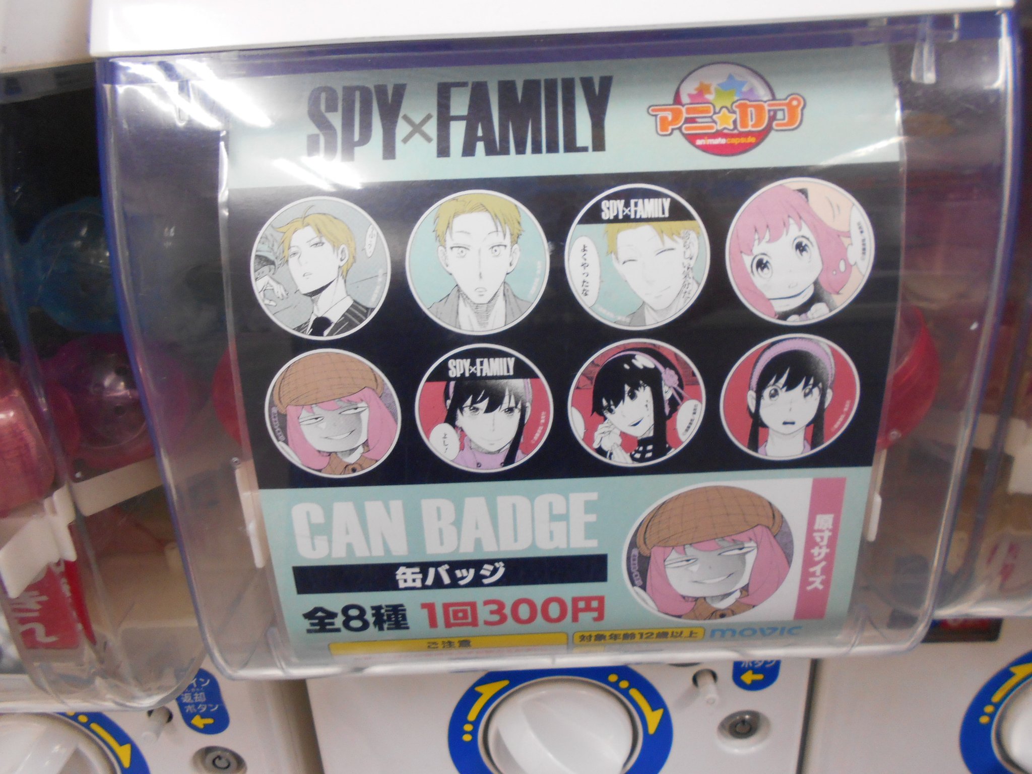 アニメイト札幌 カプセルトイ入荷情報 Spy Family 缶バッジ が入荷しました ガチャガチャコーナーにて稼働中です