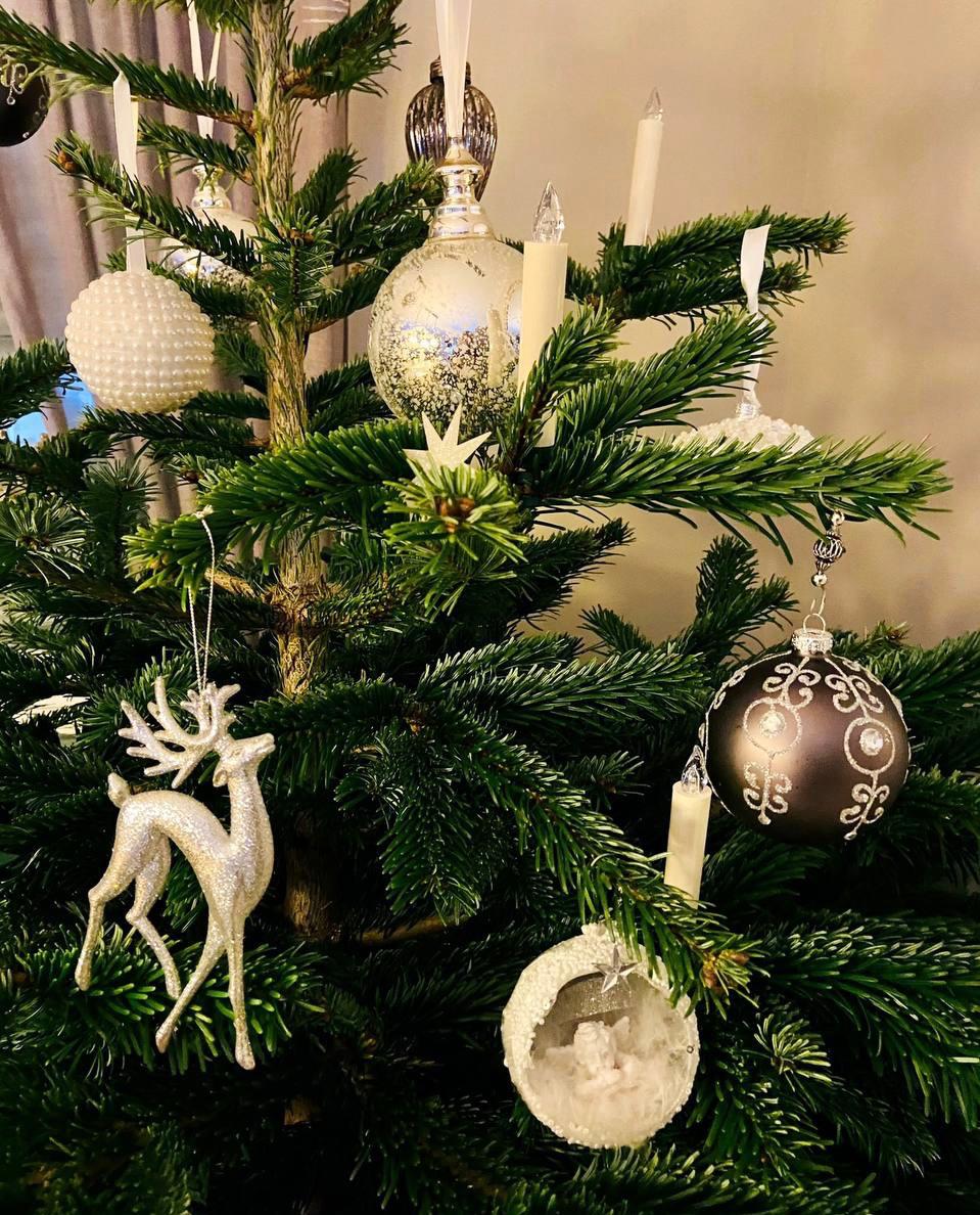 RebelinmaxQ's tweet photo. Merry Christmas 🌠 https://t.co/J8u6ve87N4