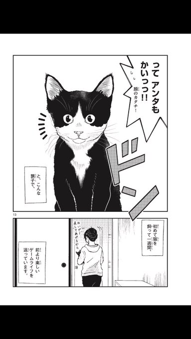 灘谷航 猫暮らしのゲーマーさん 1 6巻発売中 Nadatani さんのマンガ一覧 ツイコミ 仮 灘谷航 猫暮らしのゲーマーさん 1 6巻発売中 Nadatani さんのマンガ一覧 ツイコミ 仮