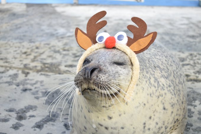 Conversation Between 南條 And Aguhiyori 1 Whotwi Graphical Twitter Analysis