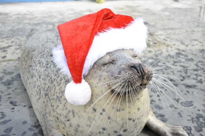 Conversation Between 南條 And Aguhiyori 1 Whotwi Graphical Twitter Analysis