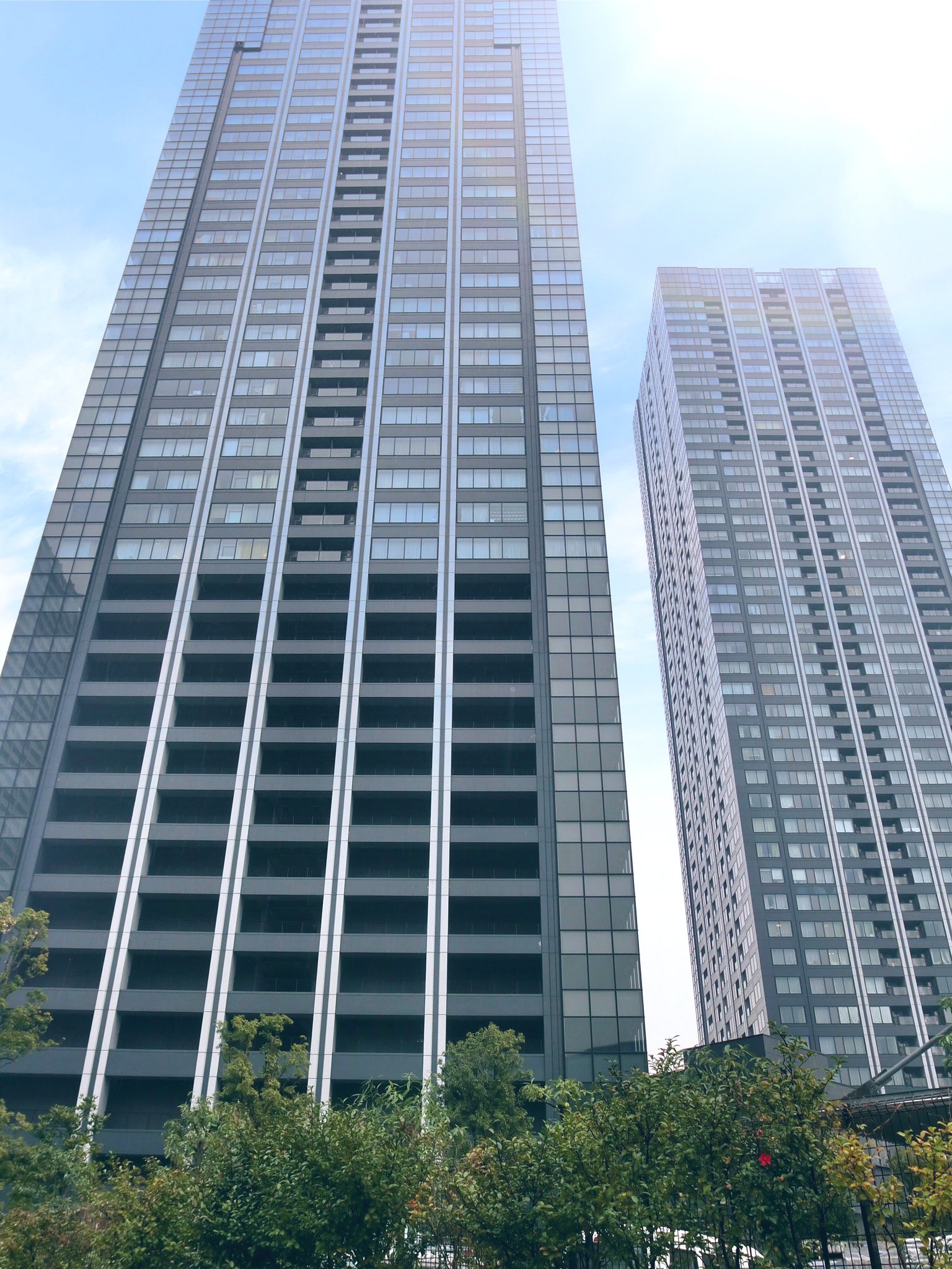 Capital Directions シティータワーズ豊洲ザ ツイン ダイニングからはスカイツリー を挑み 運河を眺められるビューバス付きのタワーマンションの22階部分でオーナーチェンジ売買物件が登場 寛ぎのバスルームではラグジュアリーな時間を満喫できます