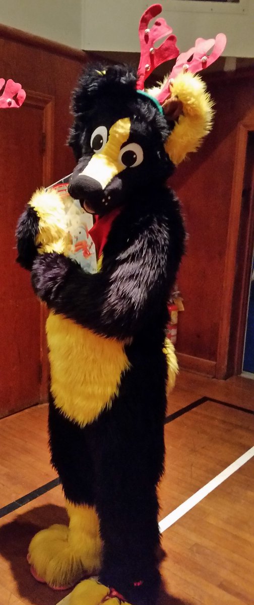 ️Kobee Barky Pup (@kobee_pup) on Twitter photo 