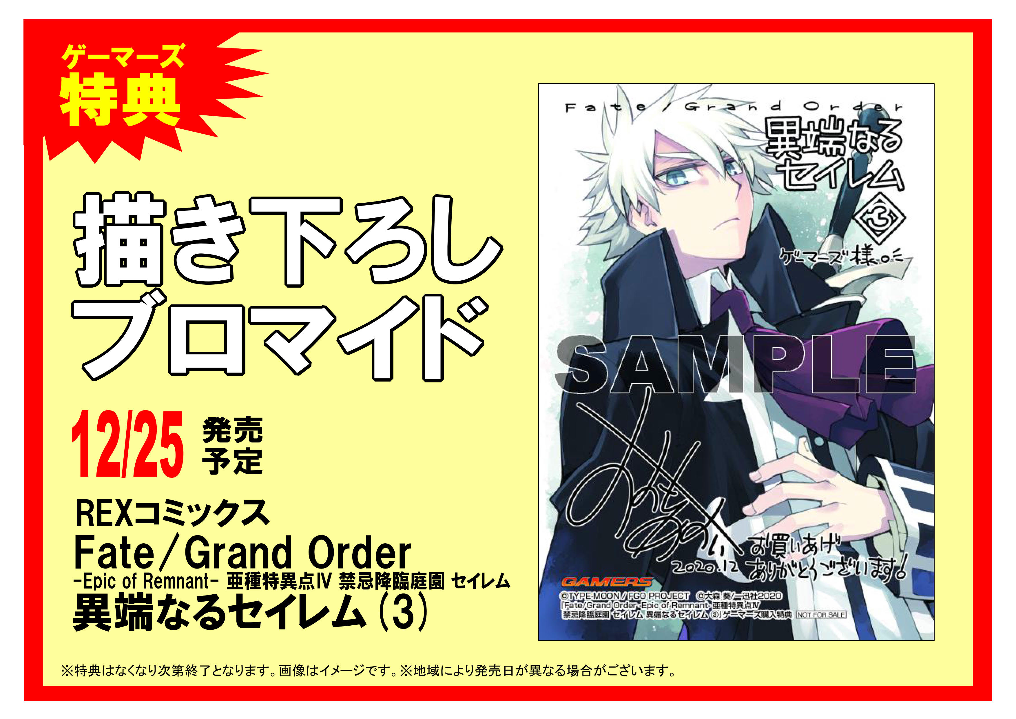 ゲーマーズ名古屋店 書籍入荷情報 本日 Fate Grand Order Epic Of Remnant 亜種特異点iv 禁忌降臨庭園 セイレム 異端なるセイレム 3 が発売となっています 購入特典は 描き下ろしブロマイド ですよ ご来店お待ちしております Fgo T
