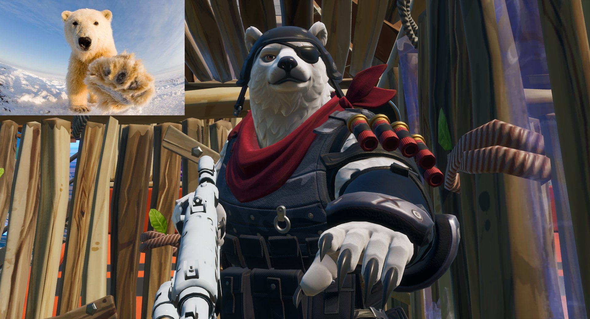 ʕ ᴖᴥᴖʔ Shirokuma Shirokuma Fn Twitter