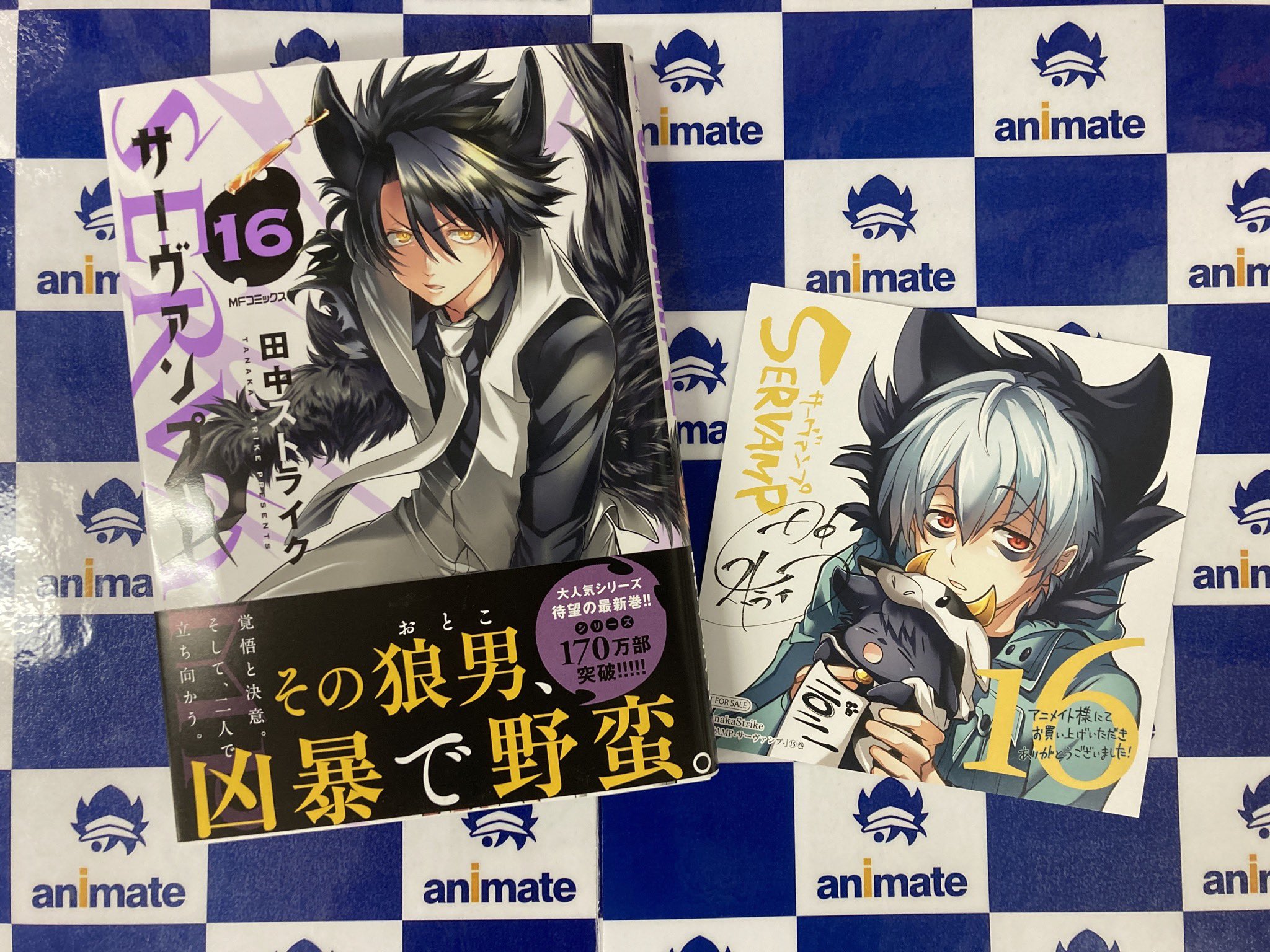 Uzivatel ｱﾆﾒｲﾄ豊田 ｱﾆﾒｲﾄｱﾌﾟﾘ配信中 Na Twitteru 書籍入荷情報 Servamp サーヴァンプ 16巻 通常版 虚の記憶 1巻 殺し愛 10巻 が入荷しましたcar アニメイト特典 として Servamp サーヴァンプ 16巻 と 殺し愛 10巻 にはミニ色紙 虚