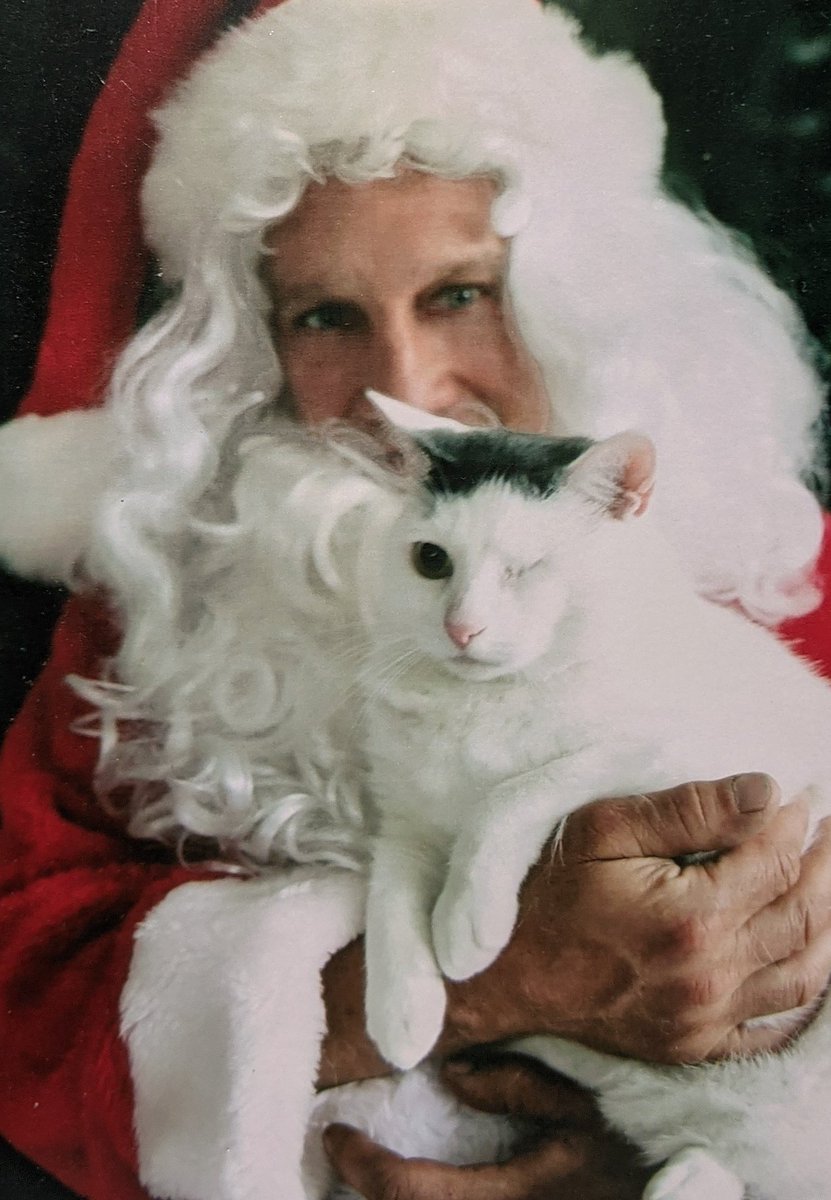 TinySkinny's tweet photo. @PetSmart #SeasonOfSpoiling #Sweepstakes @PetSmart Gracie and Santa Claws https://t.co/wFNIp4qpNK