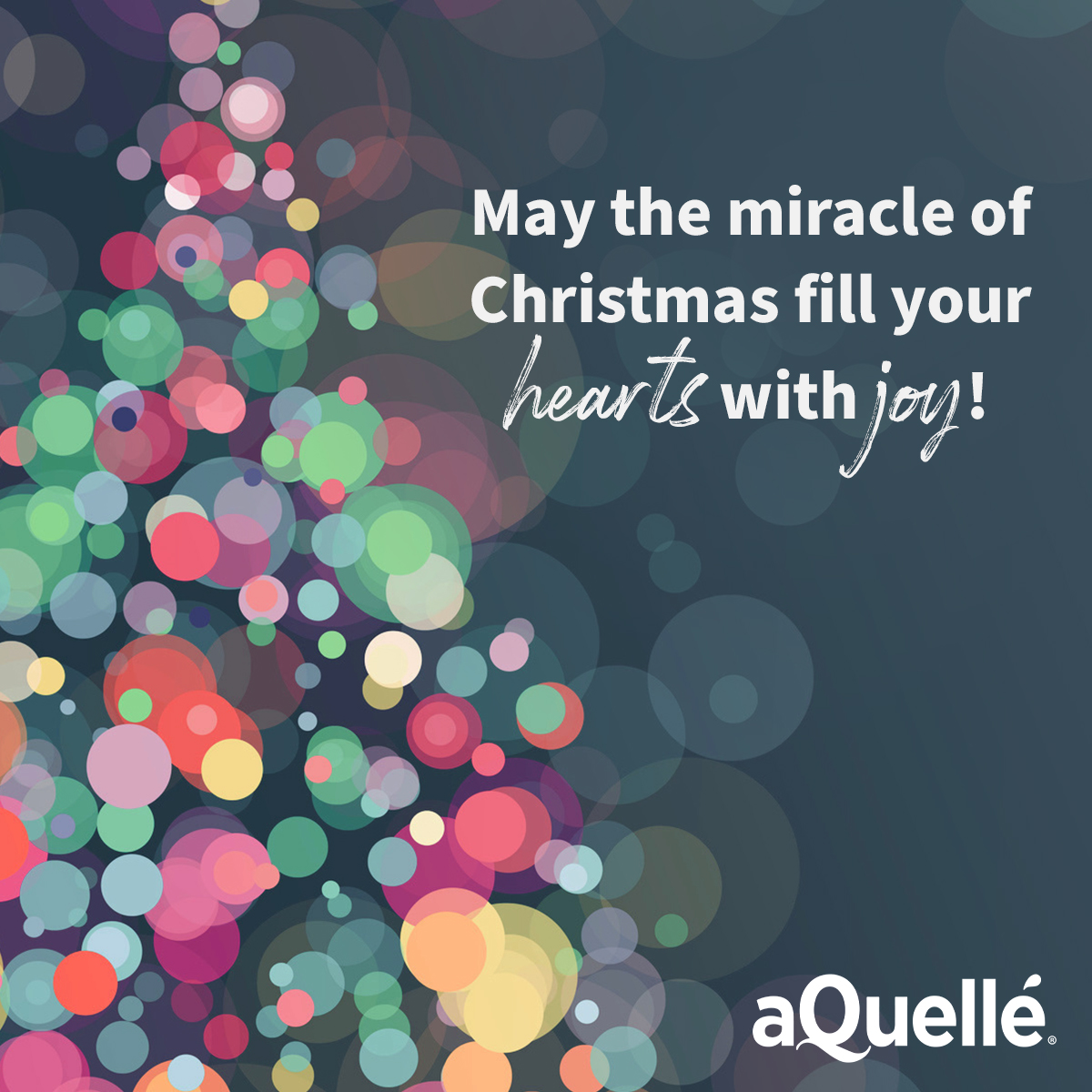 #Christmas 2020 has brought with it extra special meaning and appreciation. May the miracle of Christmas fill your hearts with #Joy !