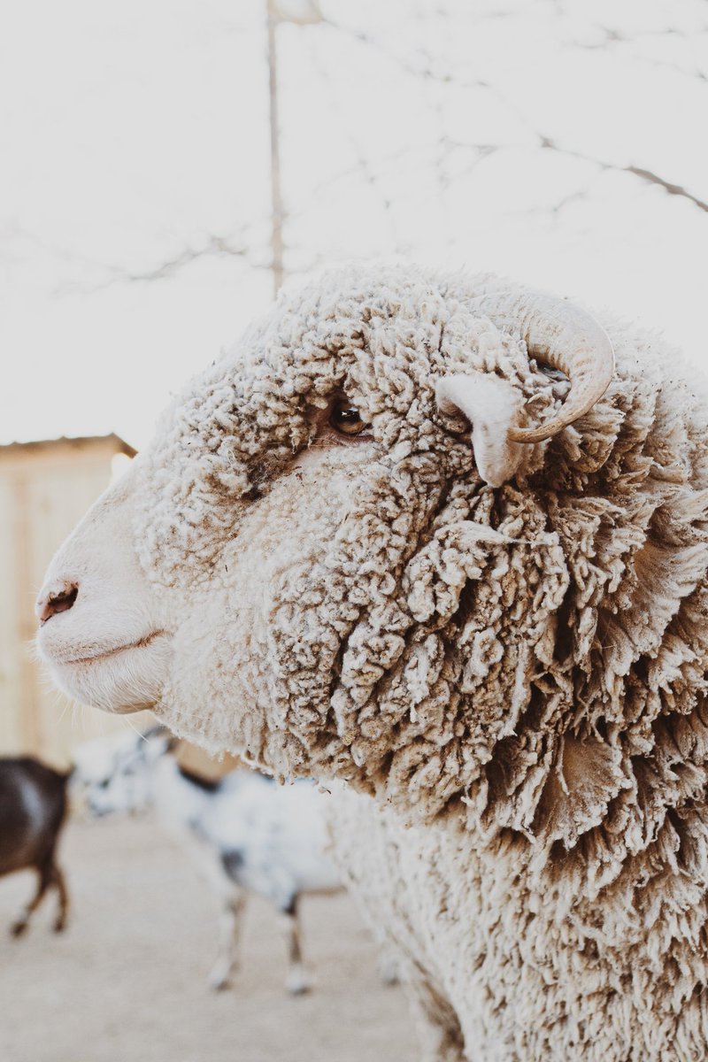 help me i can't keep up