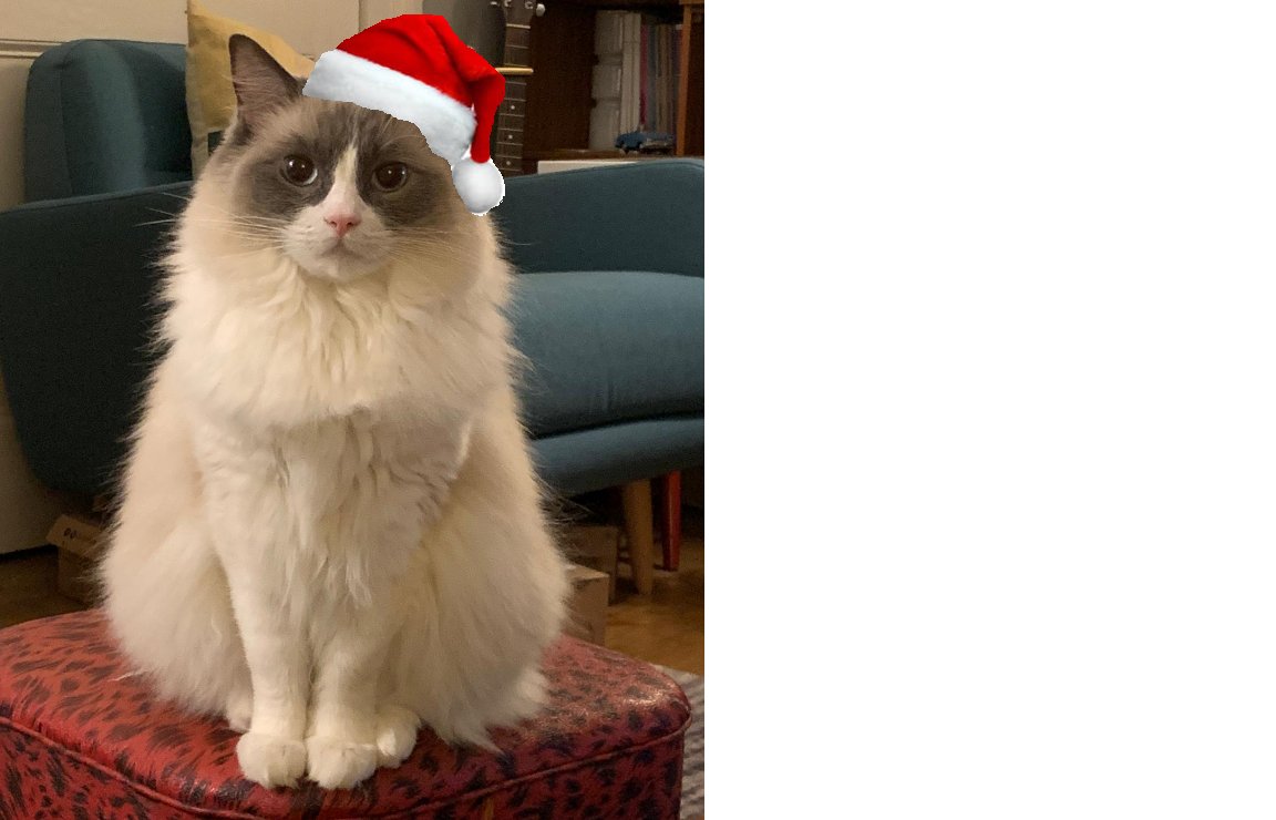 A very floof-tastic Merry Christmas all my friends #CatsOfTwitter. Have a lovely day wherever you are❤️🎄

#MerryChristmas #HappyHolidays