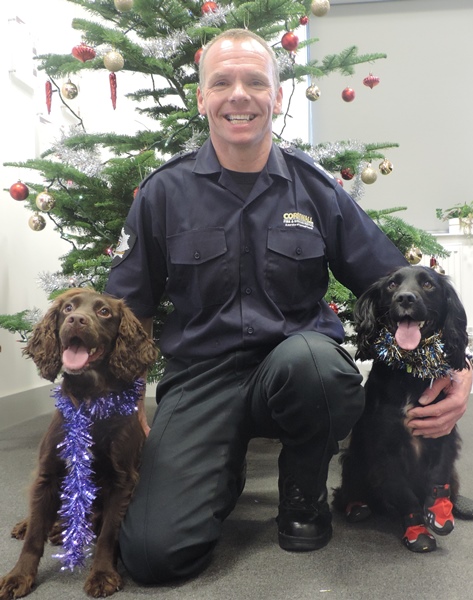 Archie_FireDog tweet media